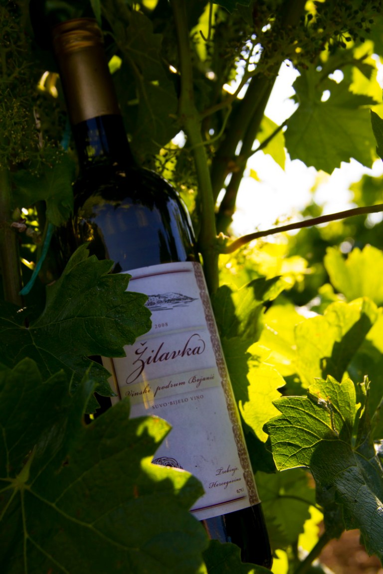 Bojanić Vinarija 11