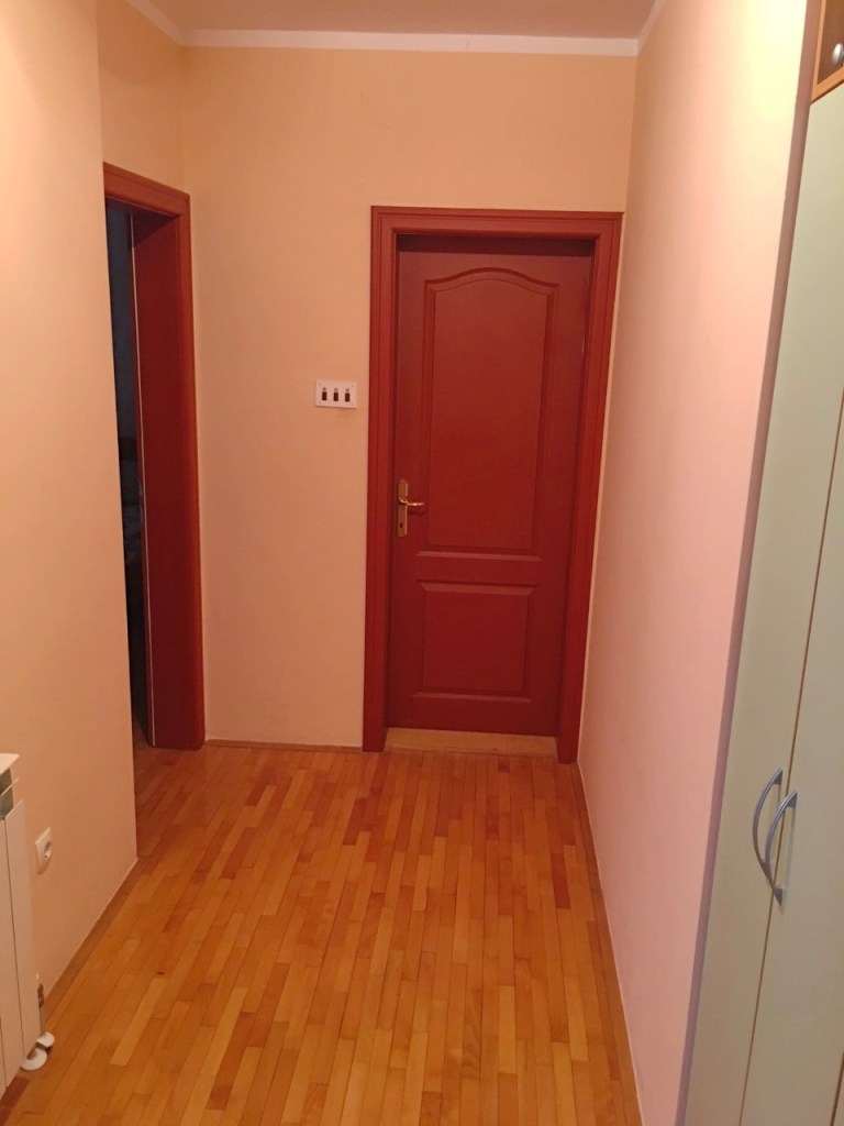 Apartman Aleksa (6)