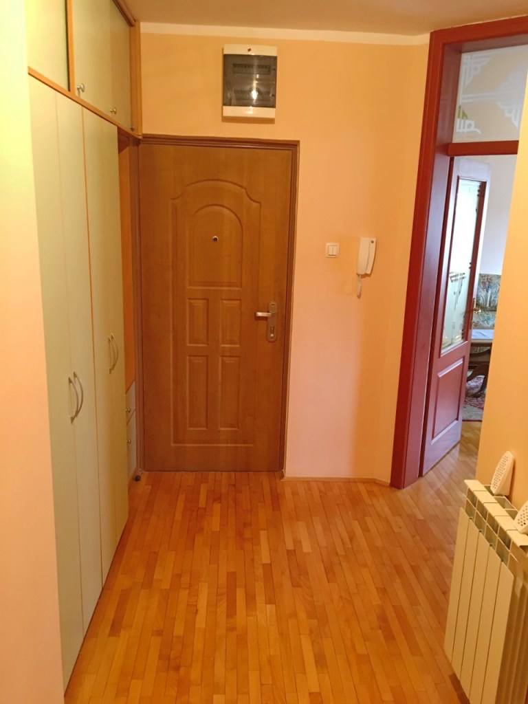 Apartman Aleksa (7)
